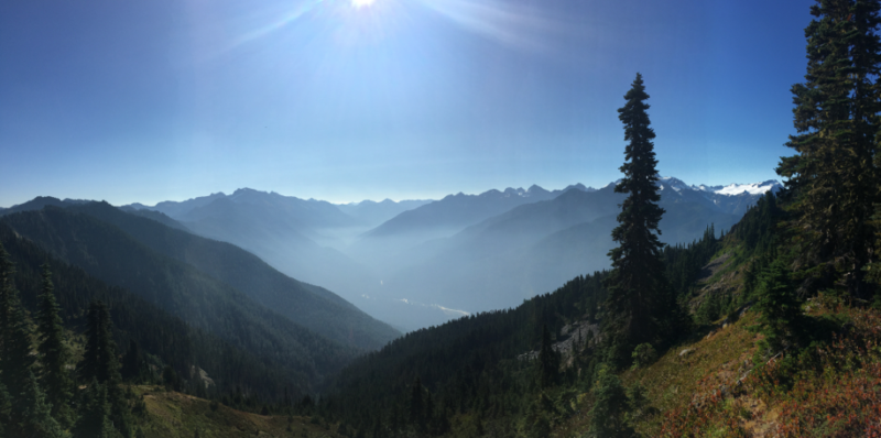 4 Lessons in Business Learned in Olympic National Park