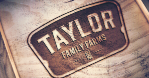 Taylor Family Farms Branding Wood Application