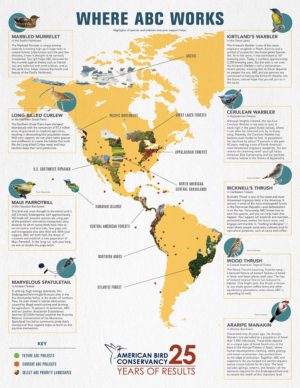 American Bird Conservatory Fall Migration Map